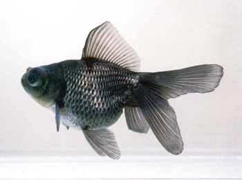 β���󣬱���ֽ���ζ�֮�ʣ����϶�����裬�������ˡ�