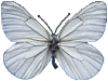 �۵�