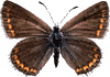 �ҵ�
