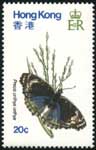 a0125.jpg (12279 bytes)