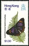 a0127.jpg (13075 bytes)