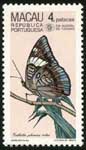 a0134.jpg (10262 bytes)
