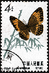 d03.gif (8573 bytes)
