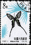 d06.gif (9383 bytes)