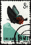 d07.gif (8477 bytes)