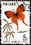 d08.gif (9661 bytes)