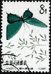 d10.gif (8770 bytes)
