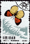 d11.gif (8481 bytes)