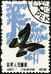 d12.gif (8760 bytes)