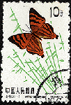 d13.gif (9034 bytes)