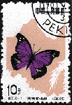 d14.gif (8475 bytes)