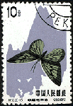 d15.gif (9282 bytes)