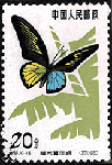 d16.gif (8698 bytes)