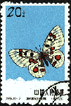 d17.gif (8932 bytes)