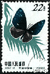 d18.gif (9119 bytes)