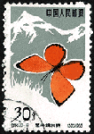 d19.gif (8492 bytes)