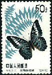 d20.gif (10073 bytes)