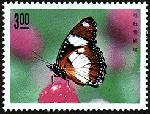 die29.gif (15956 bytes)