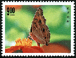 die30.gif (15303 bytes)