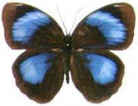 ama01.jpg (5994 �ֽ�)