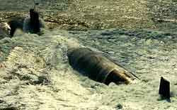 ��ɼ����